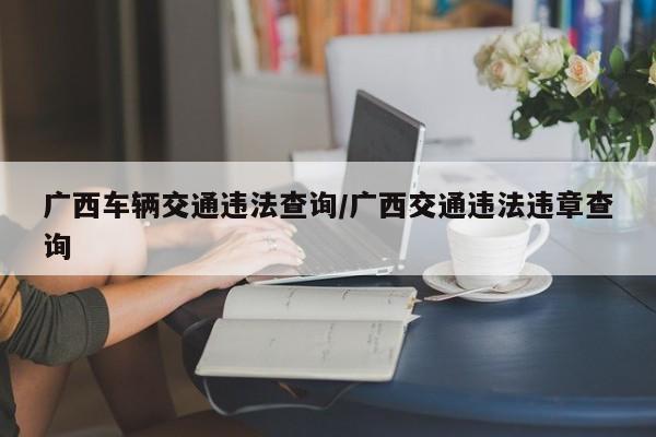 广西车辆交通违法查询/广西交通违法违章查询