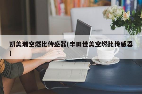 凯美瑞空燃比传感器(丰田佳美空燃比传感器)