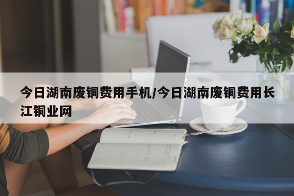 今日湖南废铜费用手机/今日湖南废铜费用长江铜业网