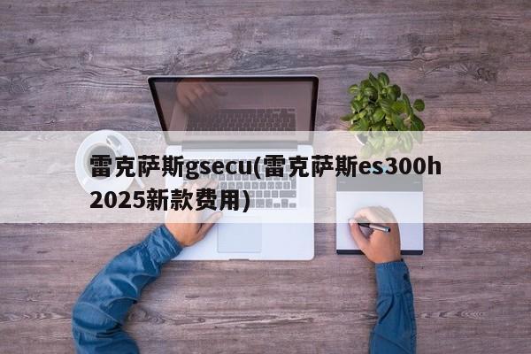 雷克萨斯gsecu(雷克萨斯es300h2025新款费用)