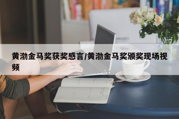黄渤金马奖获奖感言/黄渤金马奖颁奖现场视频
