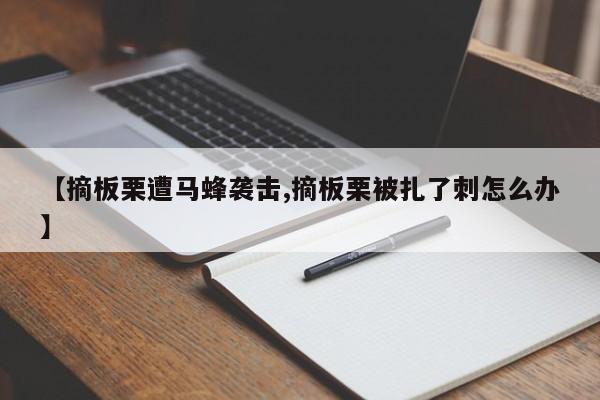 【摘板栗遭马蜂袭击,摘板栗被扎了刺怎么办】